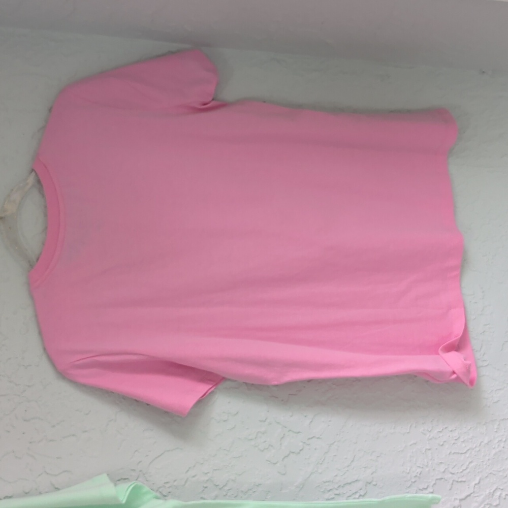 Pair of NWT Champion Ladies Athletic Tees Crew Neck | Size L - Picture 8 of 9